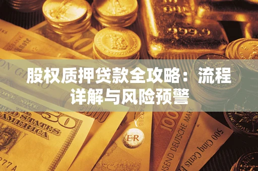 武汉股权质押贷款全攻略：流程详解与风险预警