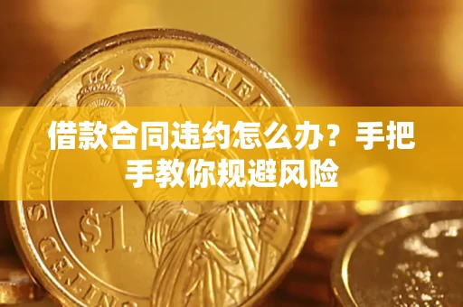 武汉借款合同违约怎么办？手把手教你规避风险