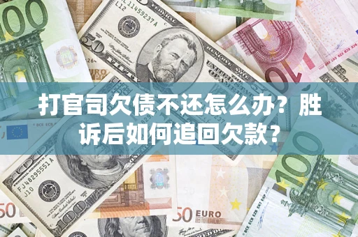 武汉打官司欠债不还怎么办？胜诉后如何追回欠款？