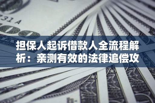 武汉担保人起诉借款人全流程解析：亲测有效的法律追偿攻略