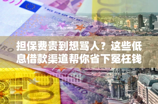 武汉担保费贵到想骂人？这些低息借款渠道帮你省下冤枉钱