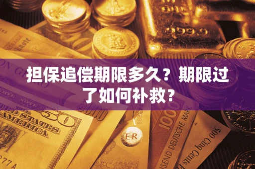 武汉担保追偿期限多久？期限过了如何补救？