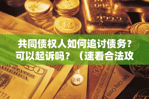 武汉共同债权人如何追讨债务？可以起诉吗？（速看合法攻略）