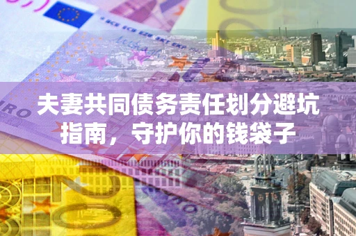 武汉夫妻共同债务责任划分避坑指南，守护你的钱袋子