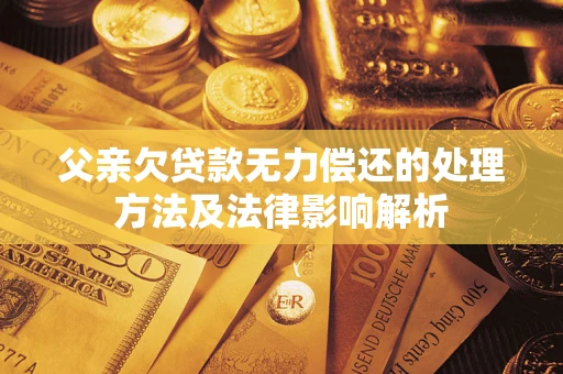 武汉父亲欠贷款无力偿还的处理方法及法律影响解析