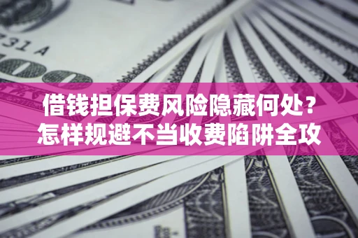 武汉借钱担保费风险隐藏何处？怎样规避不当收费陷阱全攻略！