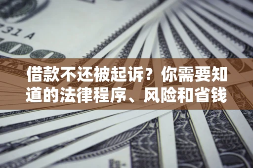 武汉借款不还被起诉？你需要知道的法律程序、风险和省钱技巧