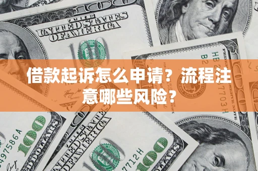 武汉借款起诉怎么申请？流程注意哪些风险？